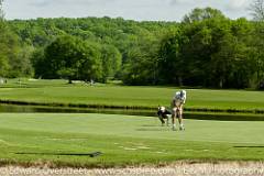 Seniors Golf vs River-Mauldin -92